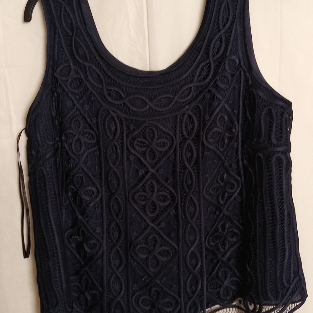 R & M Richards by Karen Owing Bluen Lace Tank Top